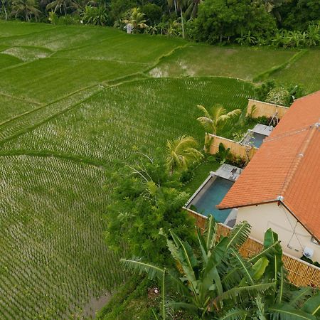 Uma Rimbun Pool Villa By Uniquecations Ubud  Luaran gambar