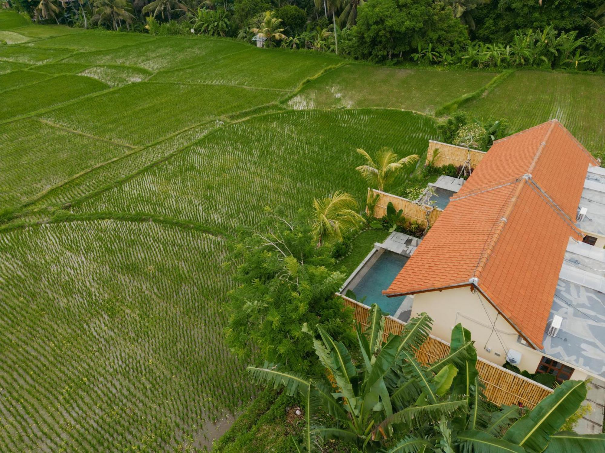 Uma Rimbun Pool Villa By Uniquecations Ubud  Luaran gambar
